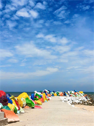 Quang cảnh biển 13