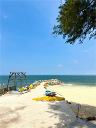Quang cảnh biển 14