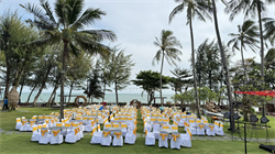 Tiệc trên bãi cỏ  6