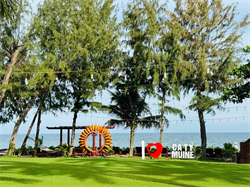 Quang cảnh vườn 13